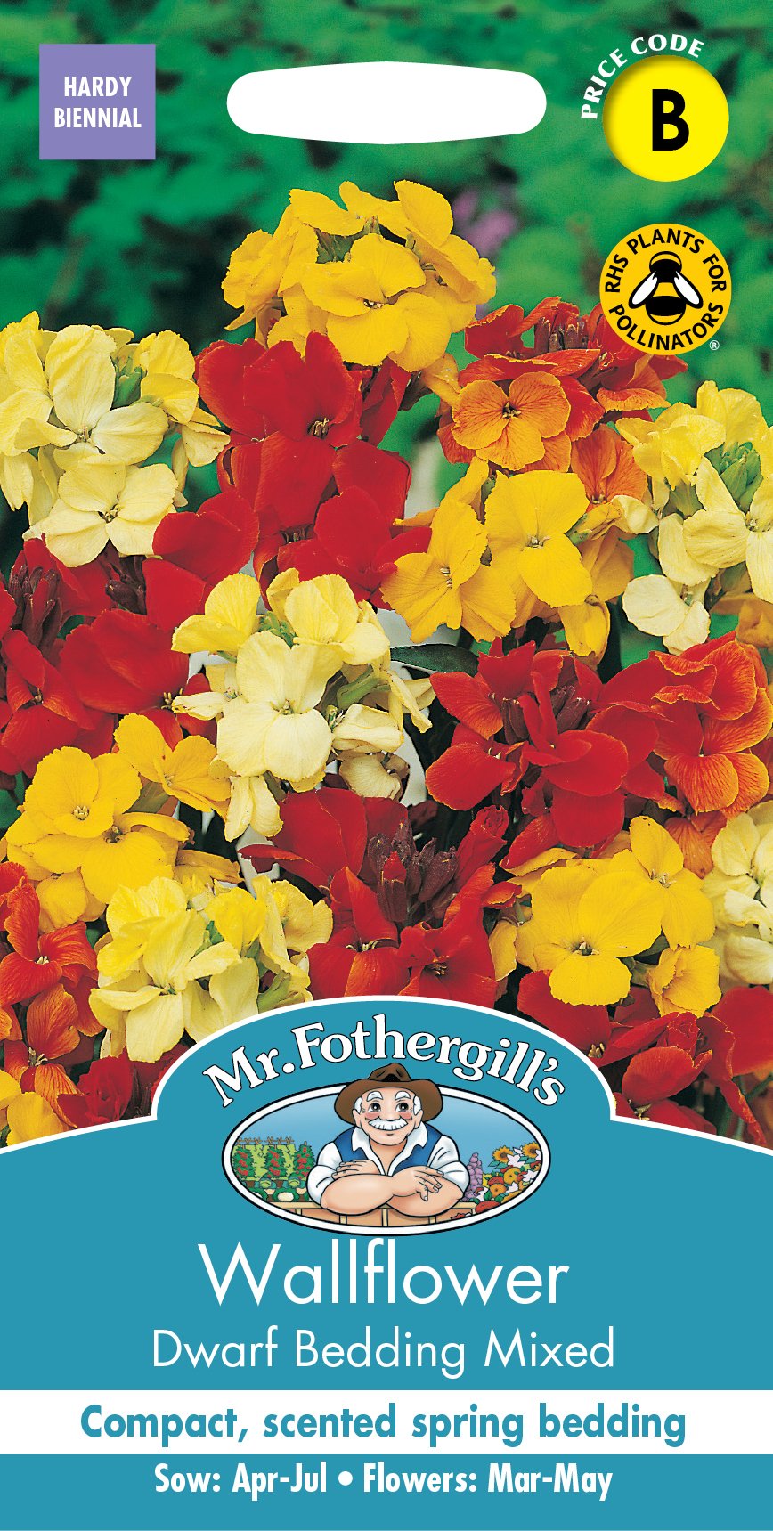 Fothergills Wallflower Dwarf Bedding Mixed
