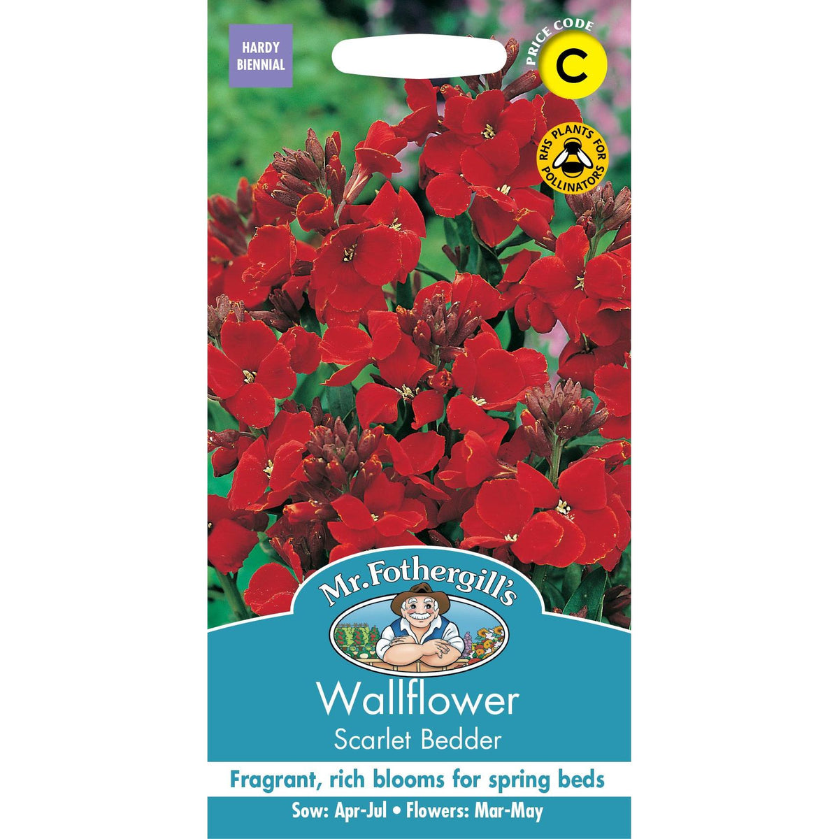 Fothergills Wallflower Scarlet Bedder