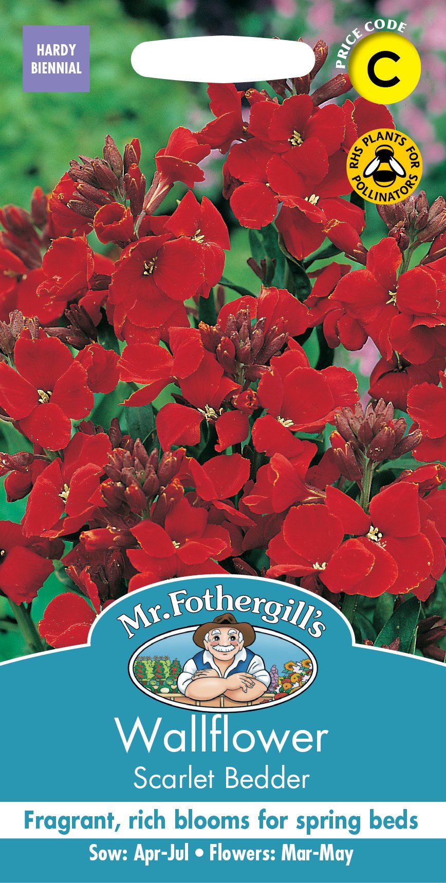 Fothergills Wallflower Scarlet Bedder