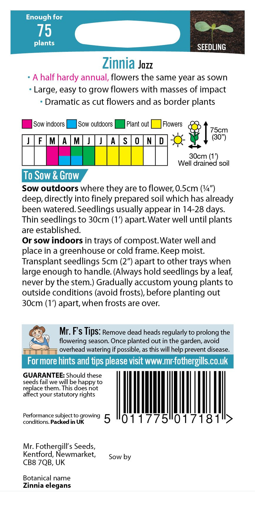 Fothergills Zinnia Jazz