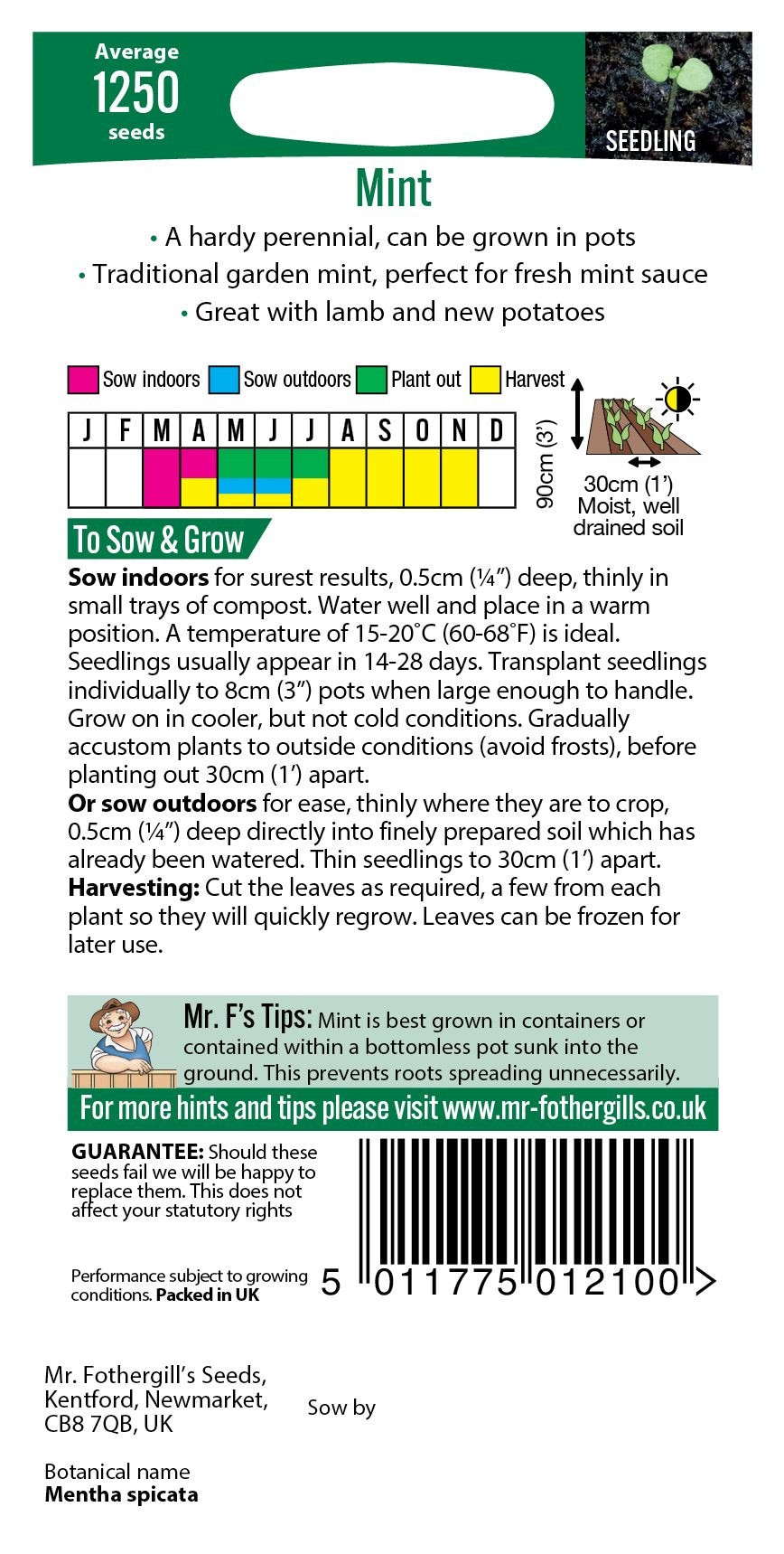 Fothergills Mint