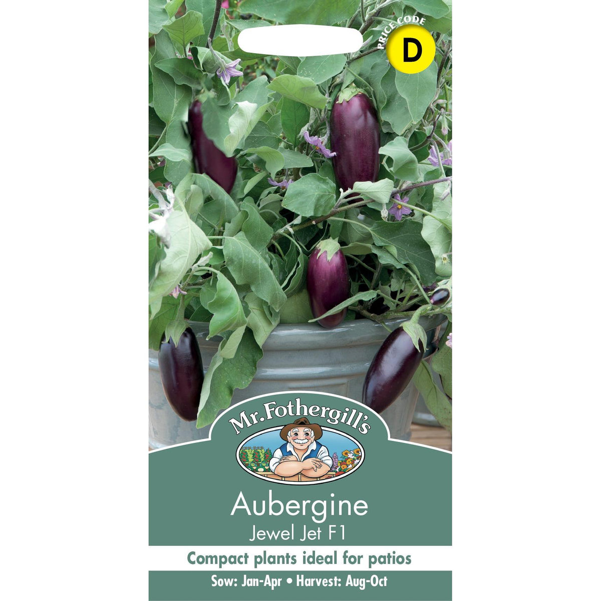 Aubergine Jewel Jet F1 Foth Seeds