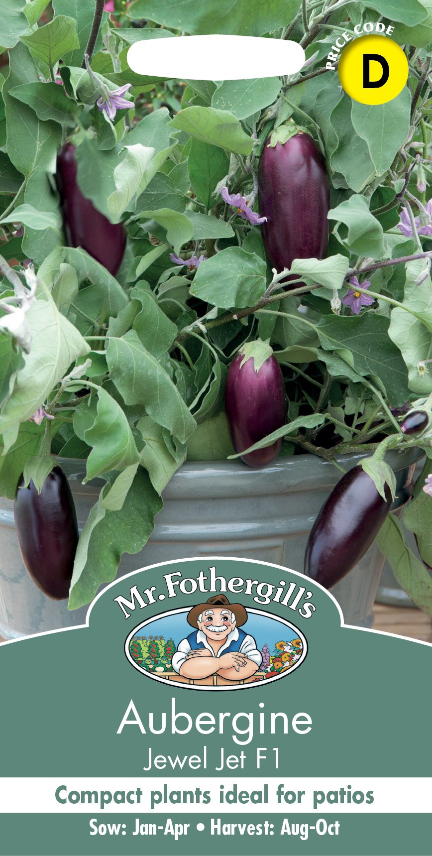 Aubergine Jewel Jet F1 Foth Seeds