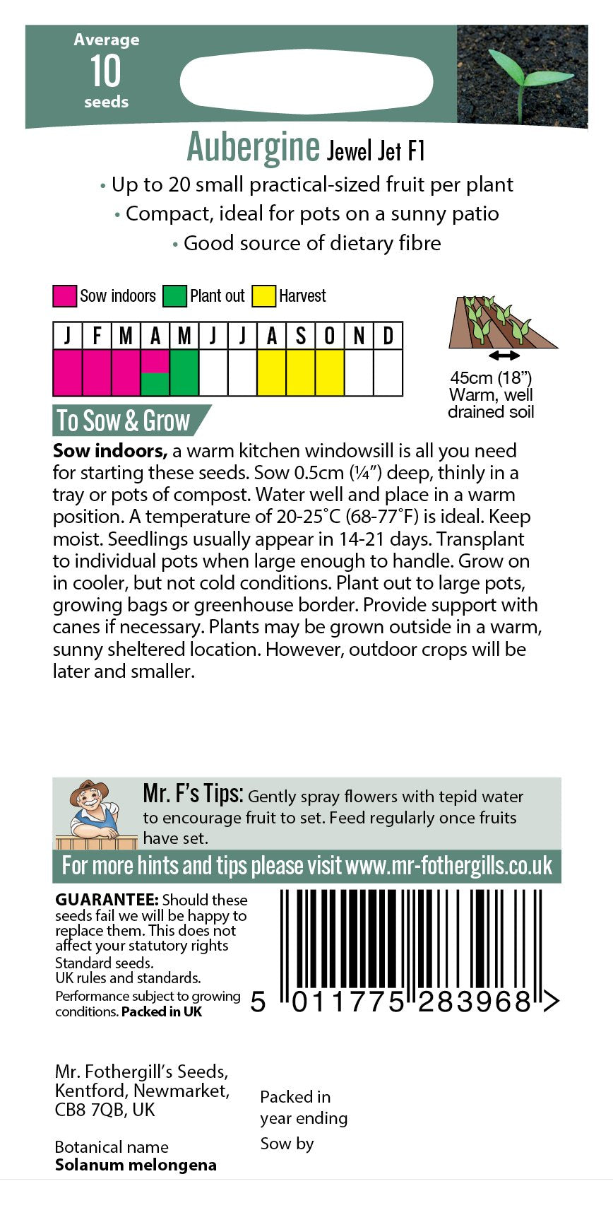 Aubergine Jewel Jet F1 Foth Seeds