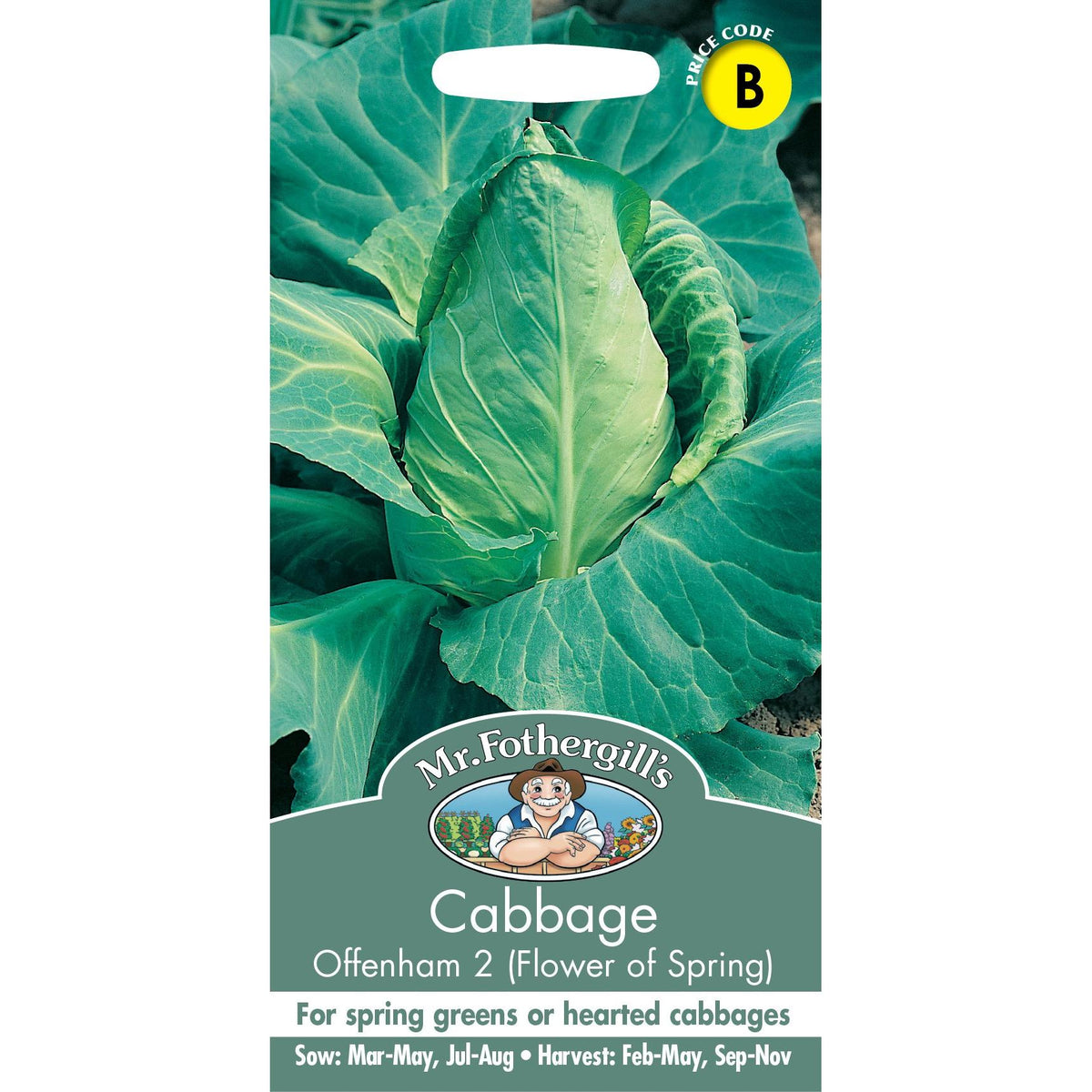 Fothergills Cabbage Offenham 2 Flower Spring