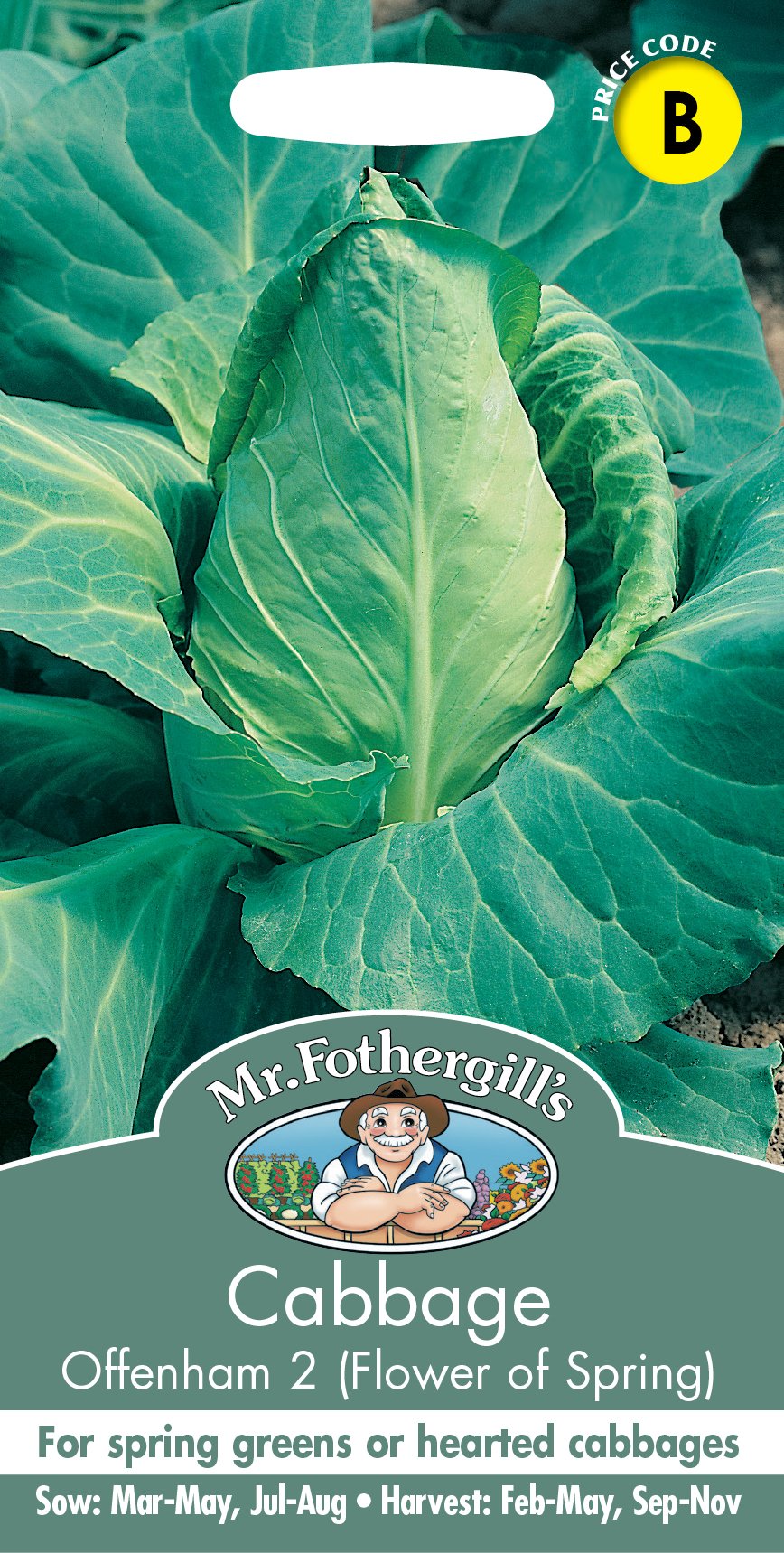 Fothergills Cabbage Offenham 2 Flower Spring