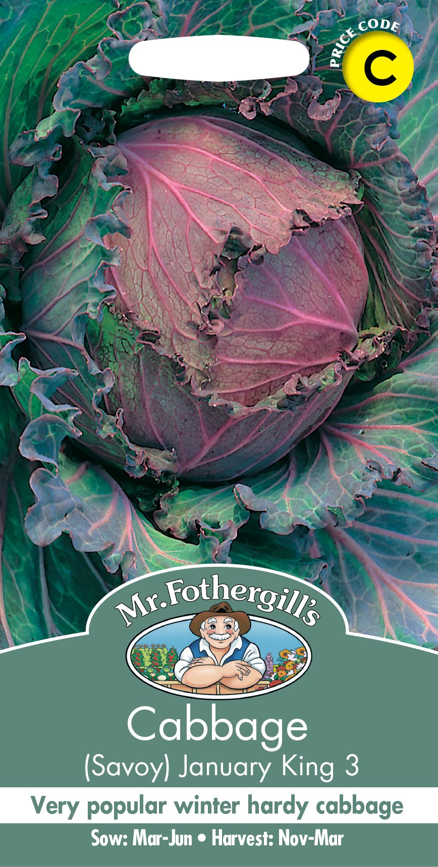 Fothergills Cabbage Savoy January King 3