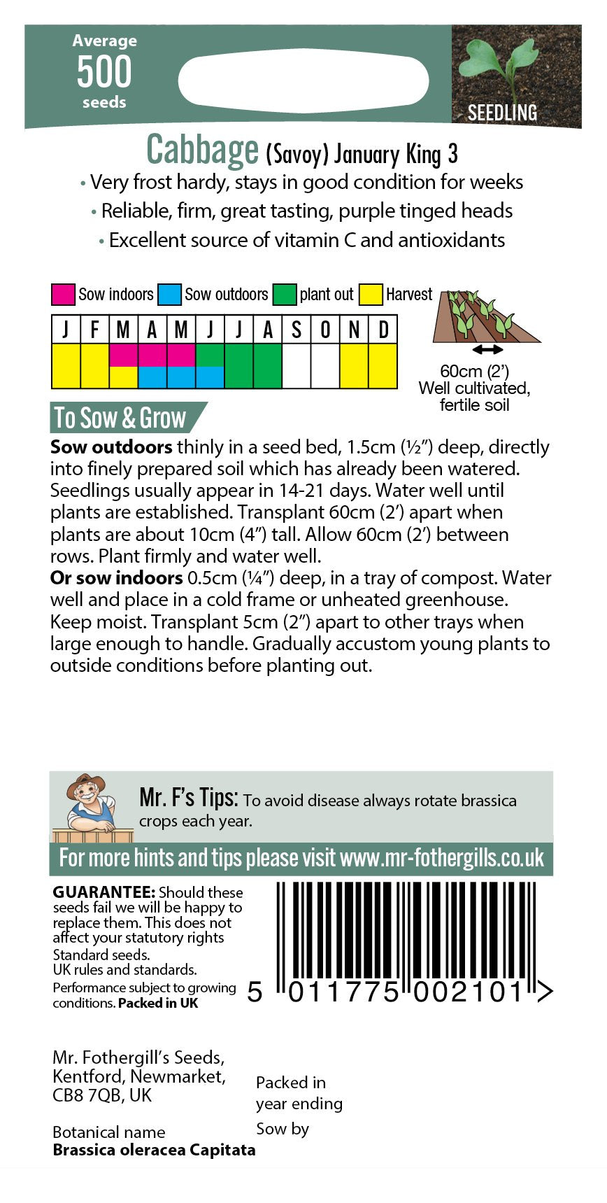 Fothergills Cabbage Savoy January King 3