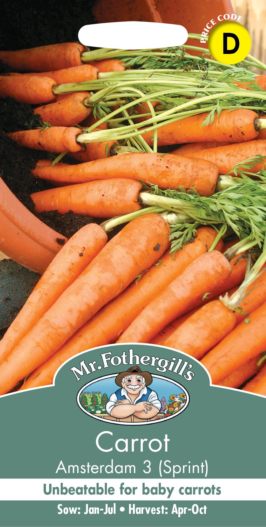 Fothergills Carrot Amsterdam 3 Sprint