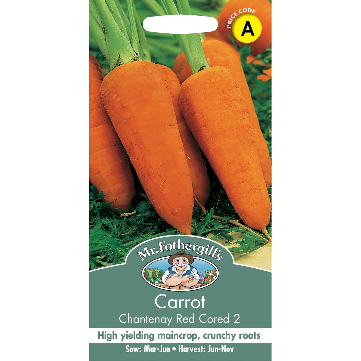 Fothergills Carrot Chantenay Red Cored 2