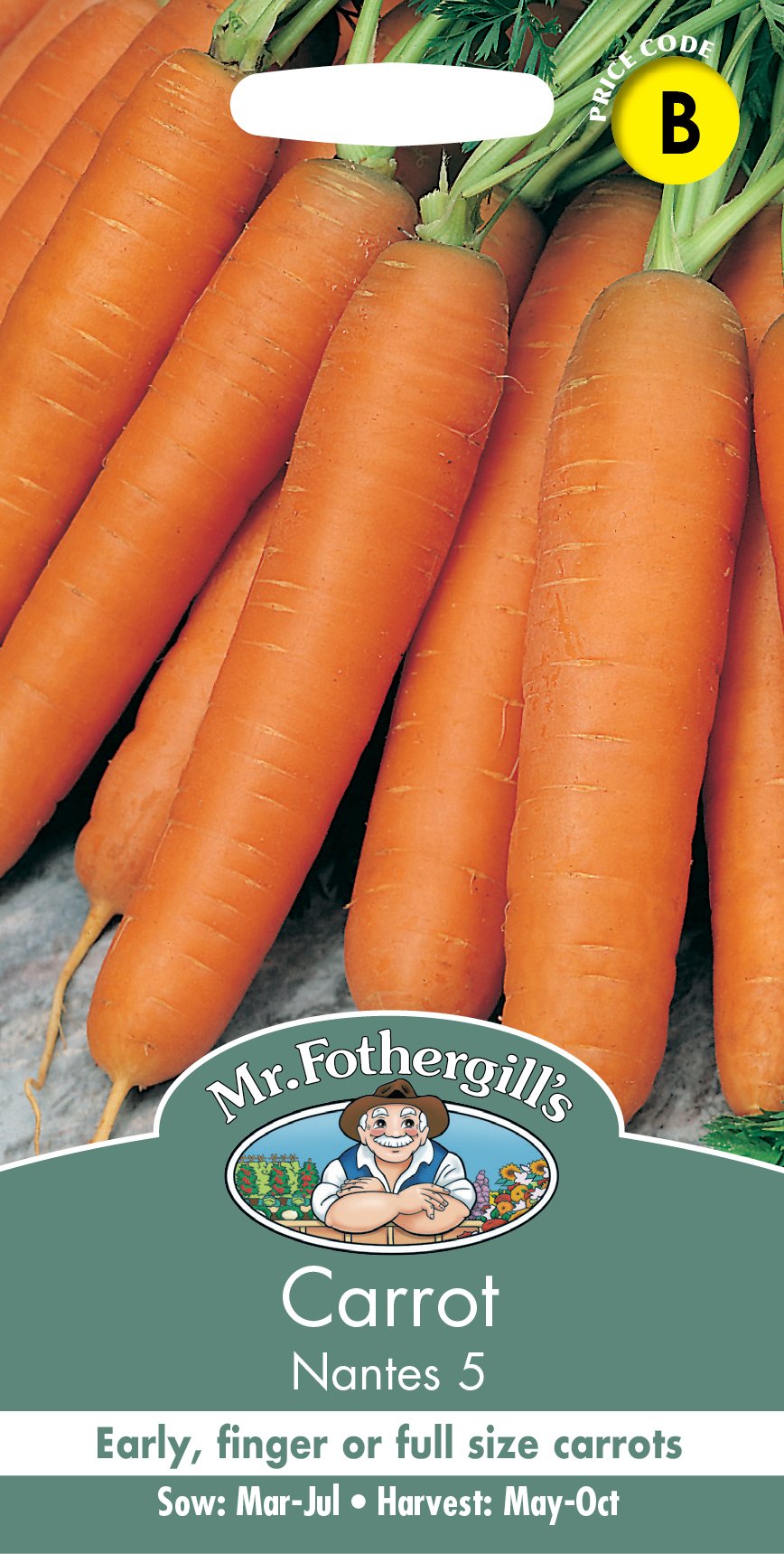 Fothergills Carrot Early Nantes 5