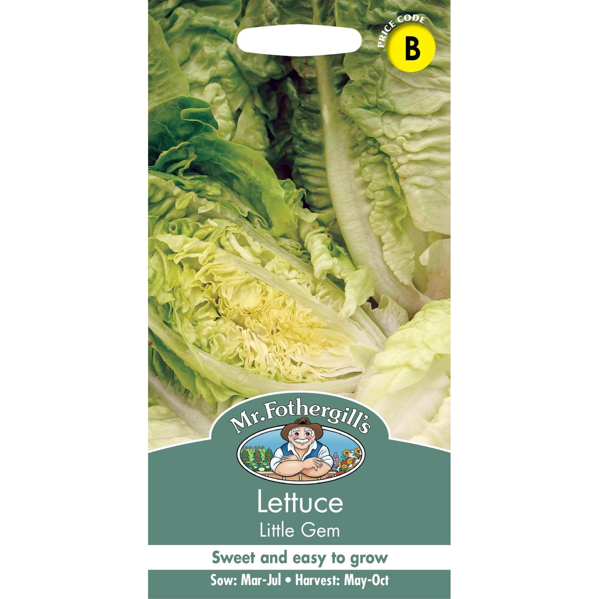 Fothergills Lettuce Little Gem