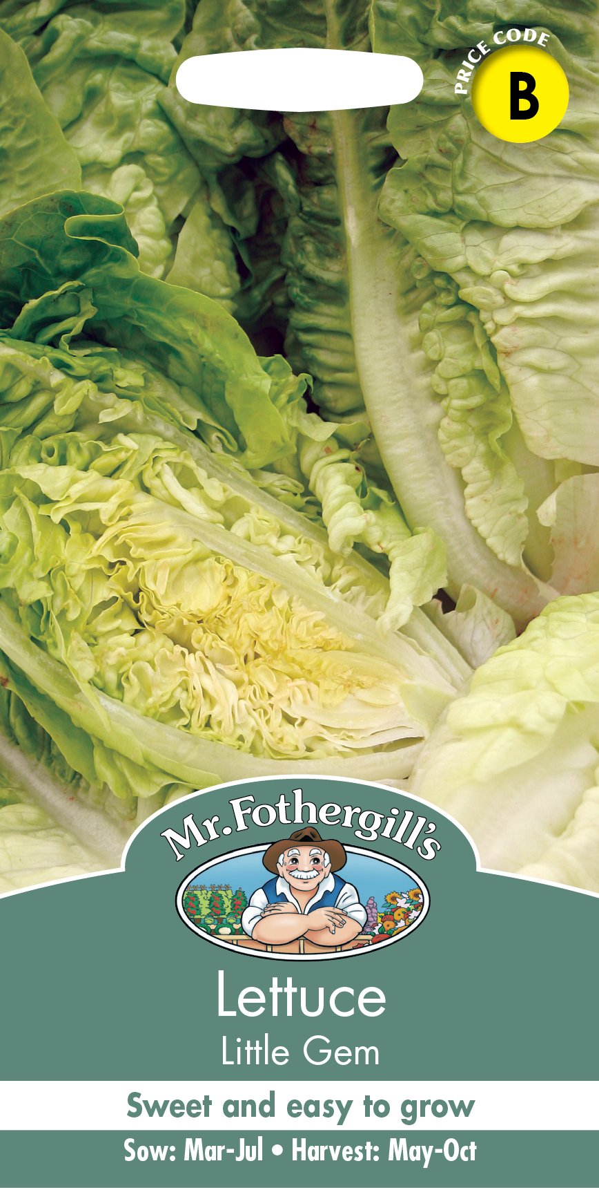 Fothergills Lettuce Little Gem