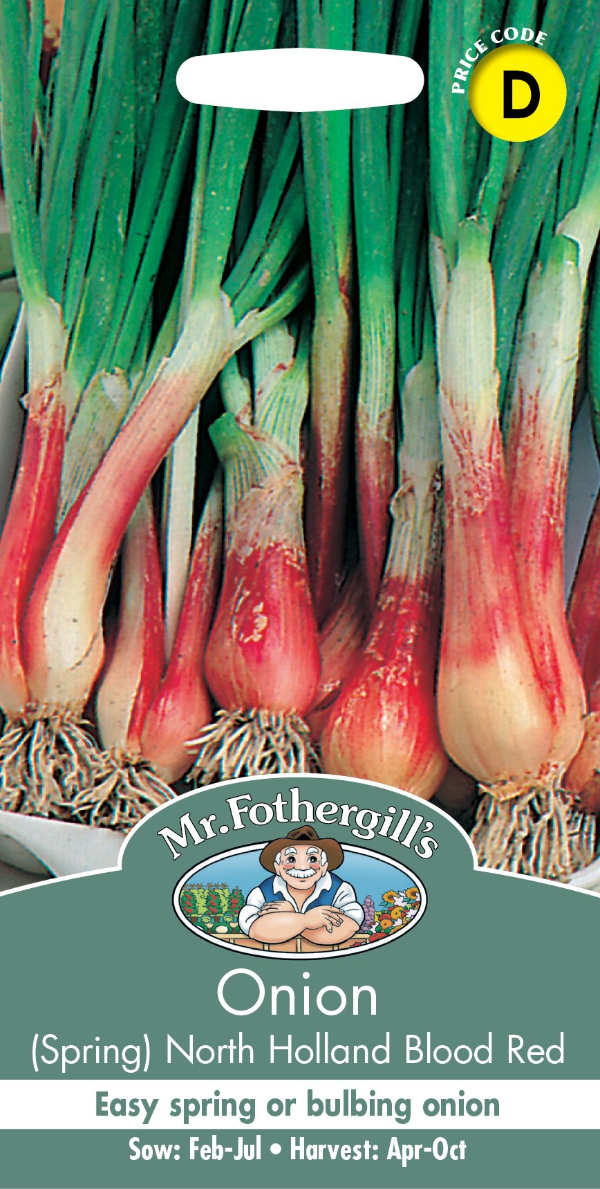 Fothergills Onion-spring Holland Blood