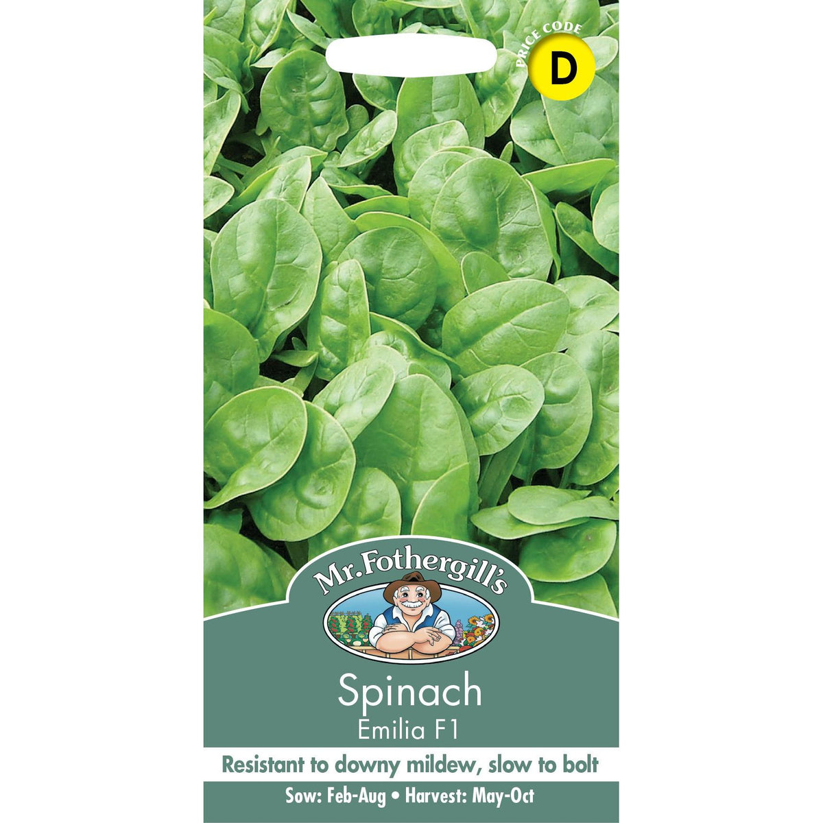 Fothergills Spinach Emilia