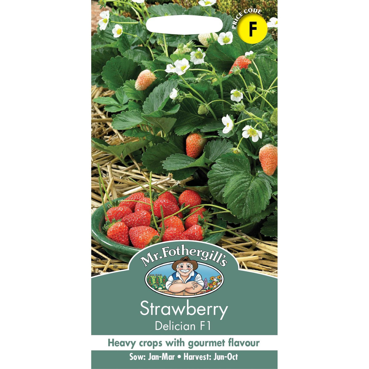 Fothergills Strawberry Delician F1