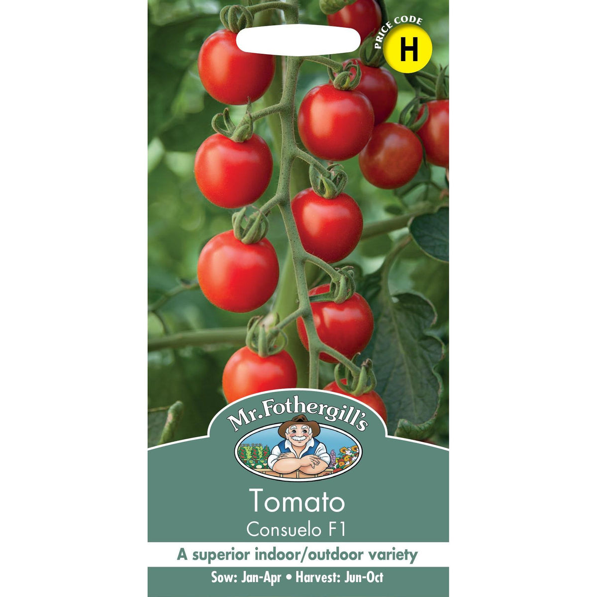 Fothergills Tomato Consueol F1