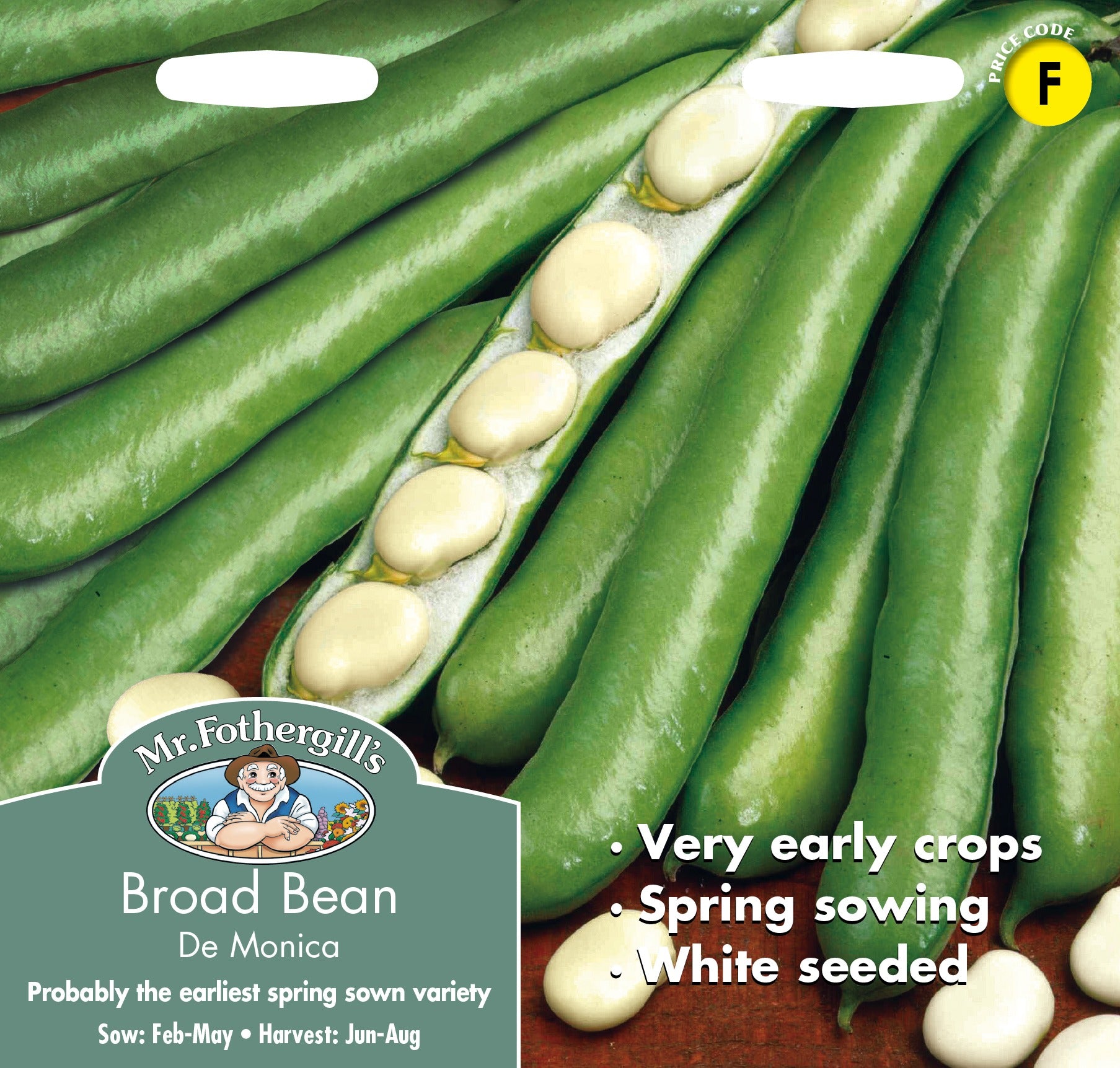 Fothergills Broad Bean Monica
