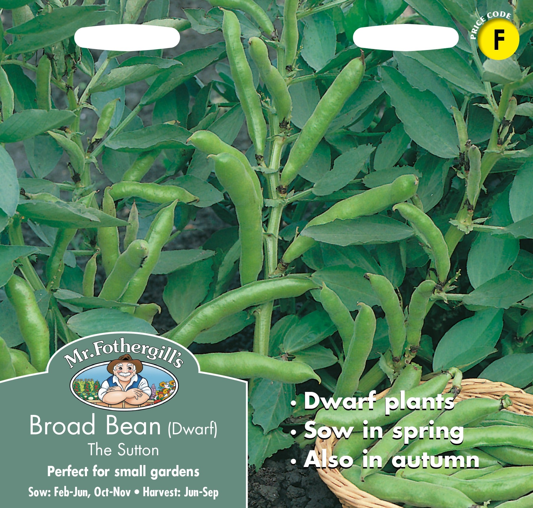 Fothergills Broad Bean The Sutton