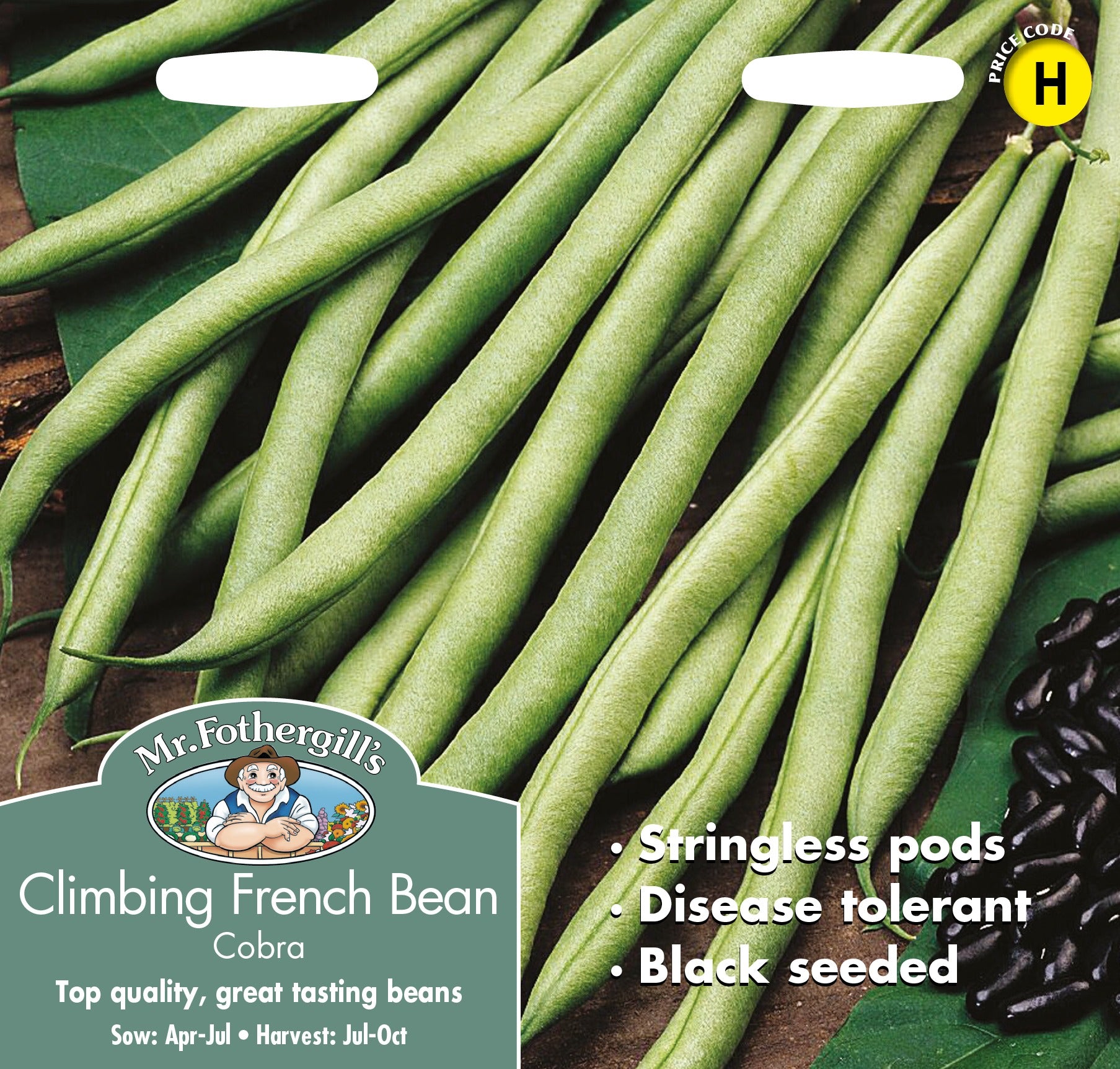 Fothergills Climbing Bean Cobra