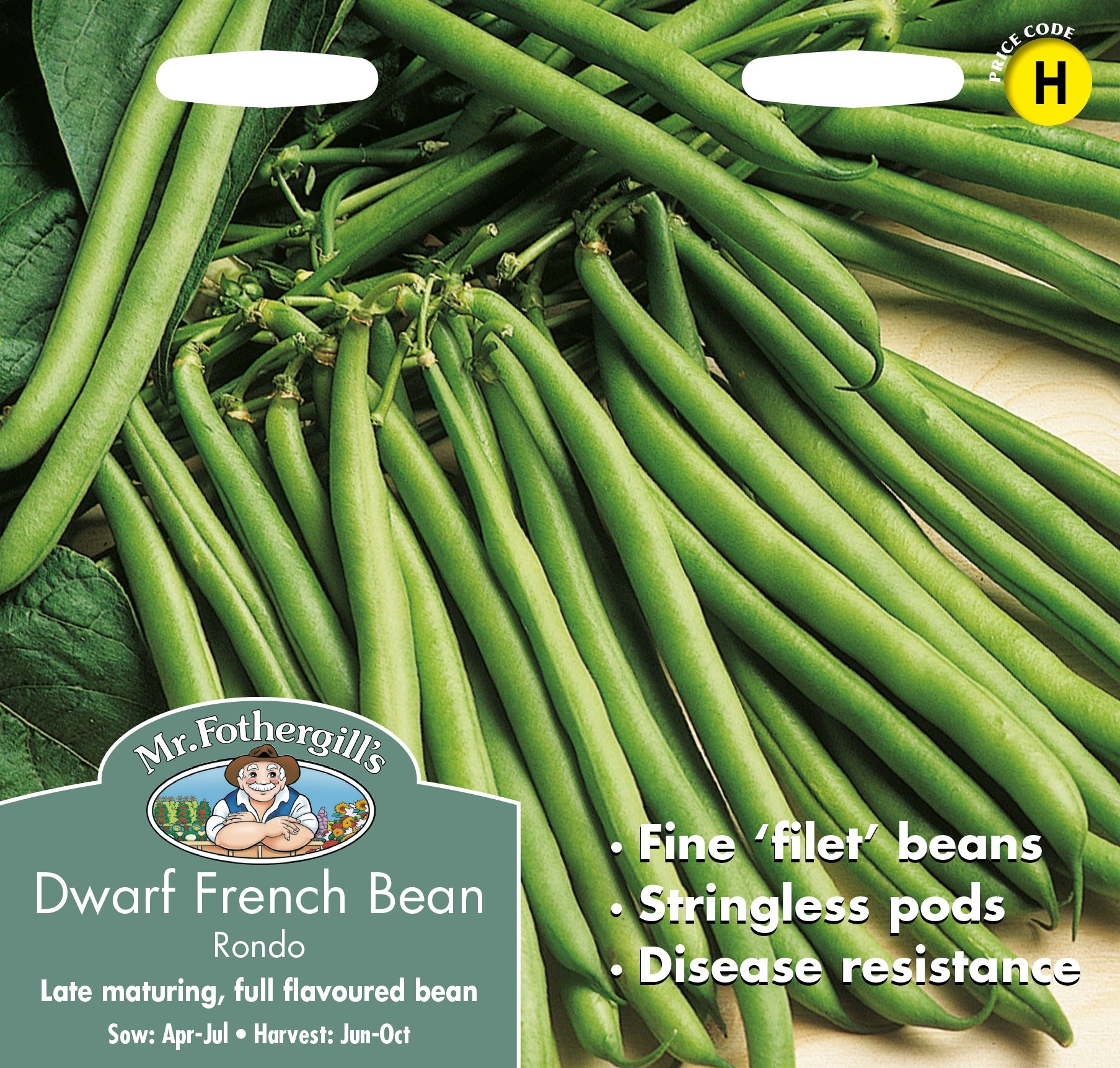Fothergills Dwarf French Bean Rondo