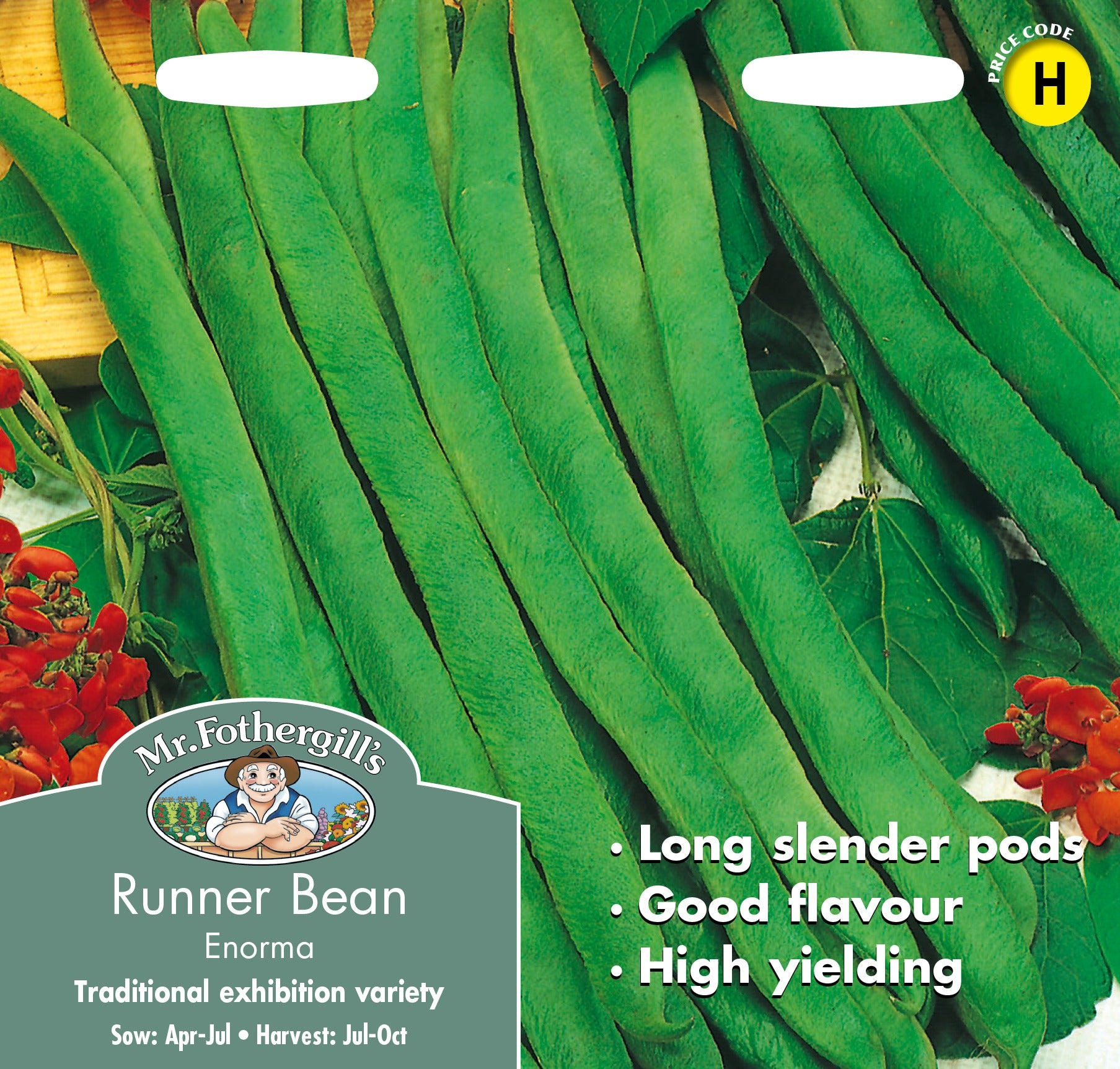 Fothergills Runner Bean Enorma