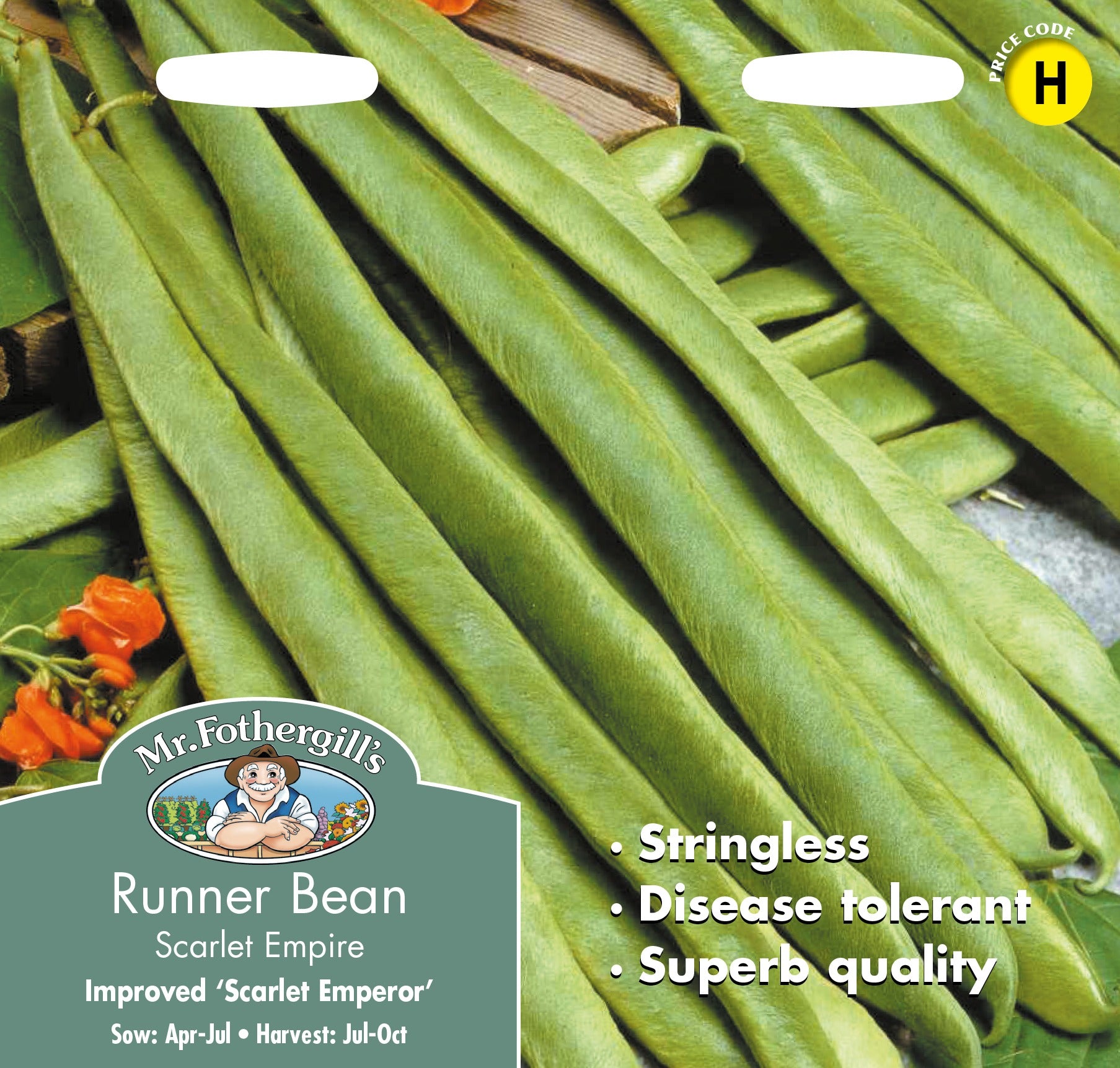 Fothergills Runner Bean Scarlet Empire