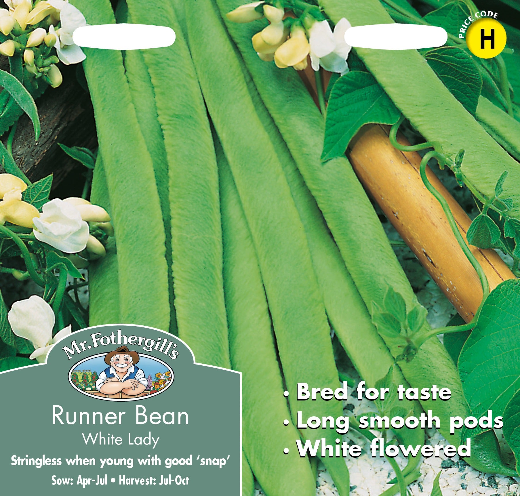 Fothergills Runner Bean White Lady