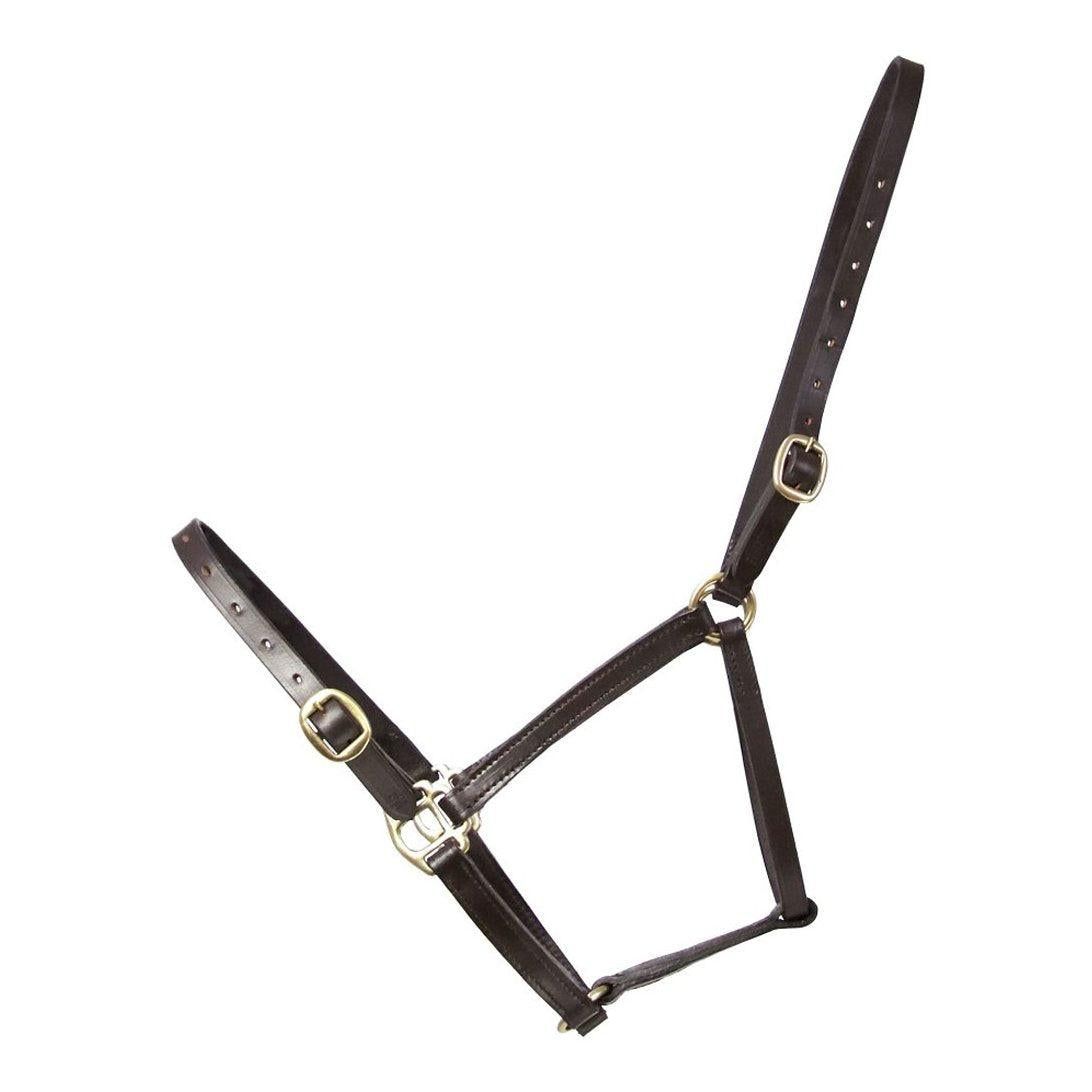 Leather Foal Headcollar