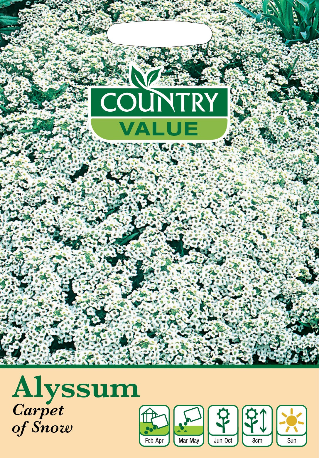 Fothergills Alyssum Carpet Of Snow