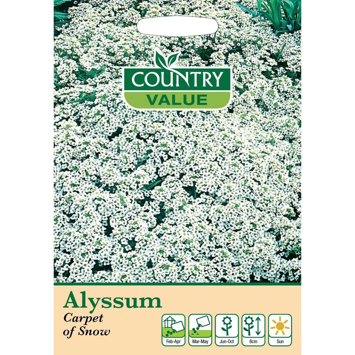 Fothergills Alyssum Carpet Of Snow