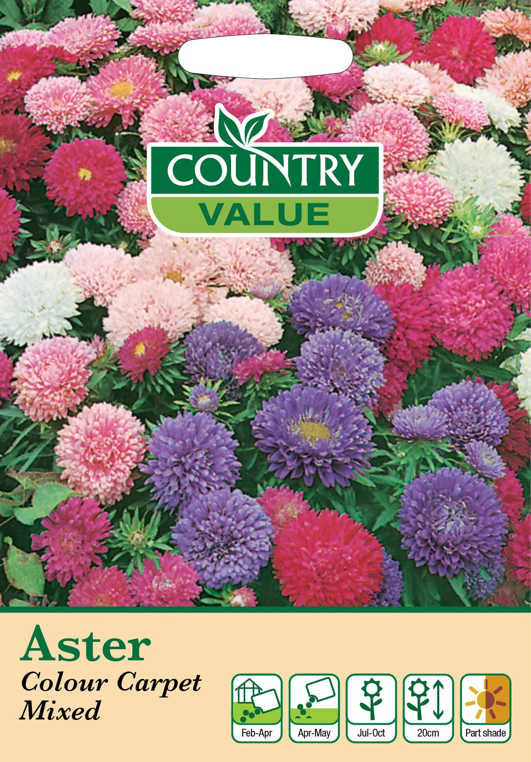 Fothergills Aster Colour Carpet Mixed