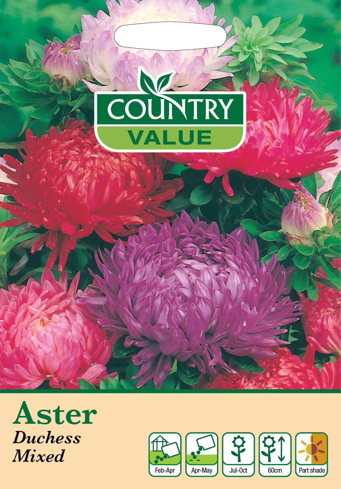 Aster Duchess Mixed Cv Seed