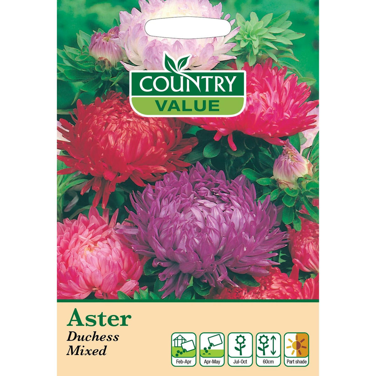 Aster Duchess Mixed Cv Seed