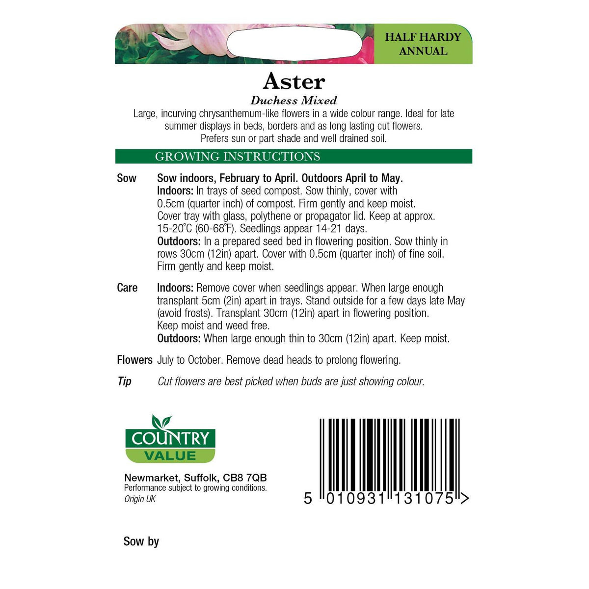 Aster Duchess Mixed Cv Seed