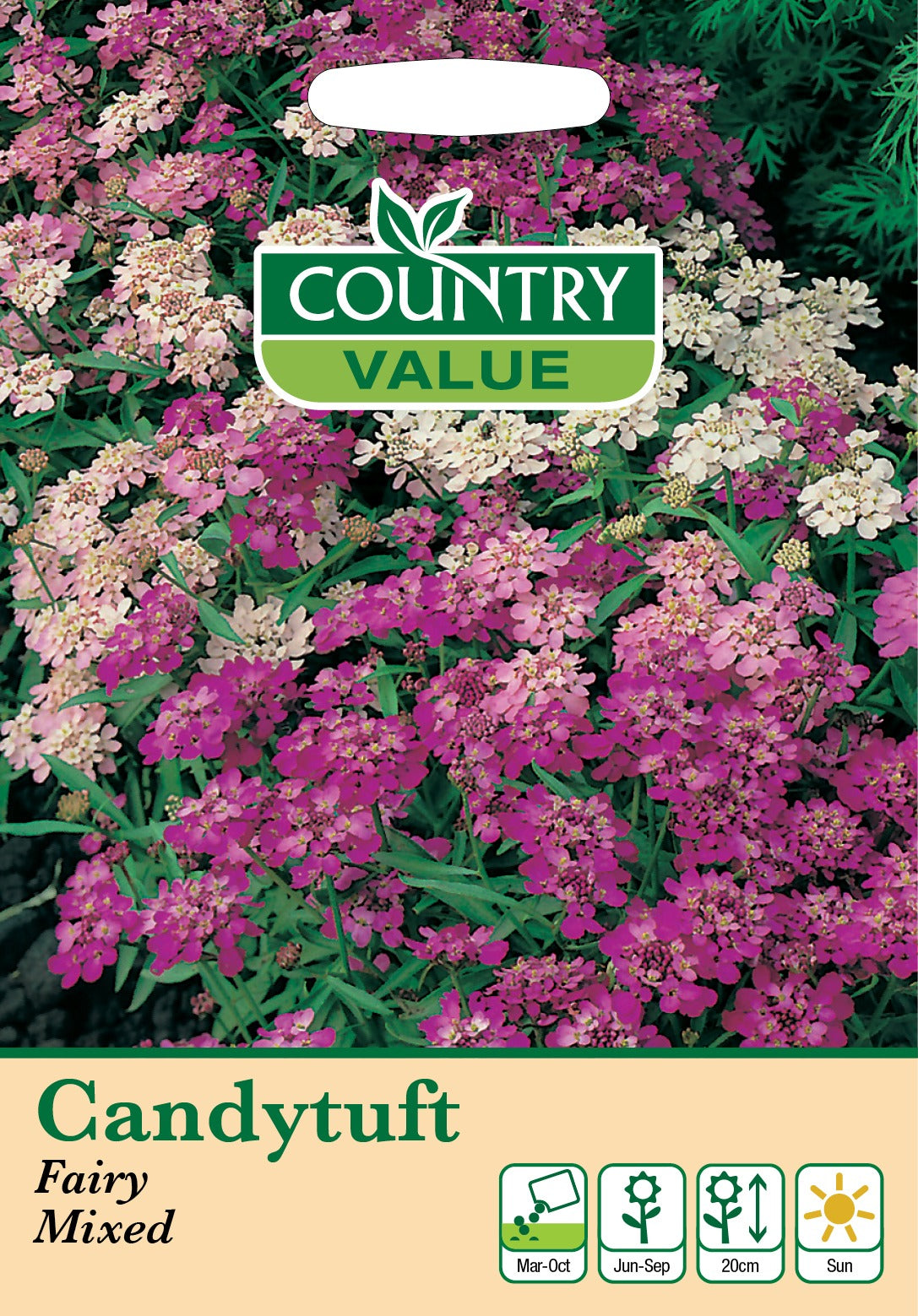 Candytuft Fairy Mixed Cv Seeds