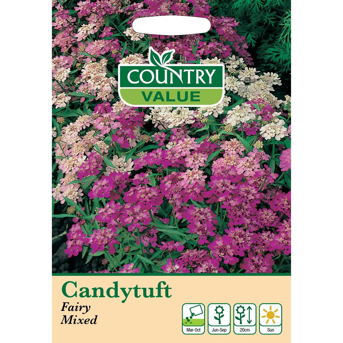 Candytuft Fairy Mixed Cv Seeds