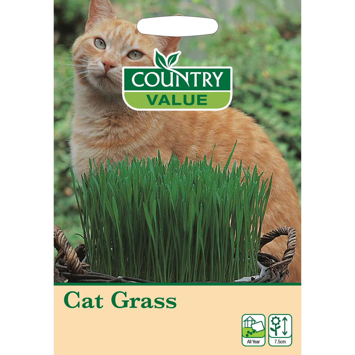 Cat Grass Cv Seeds