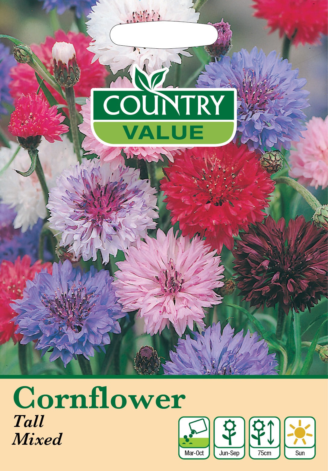 Cornflower Tall Mixed Cv Seeds