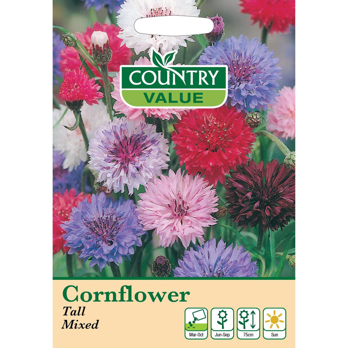 Cornflower Tall Mixed Cv Seeds