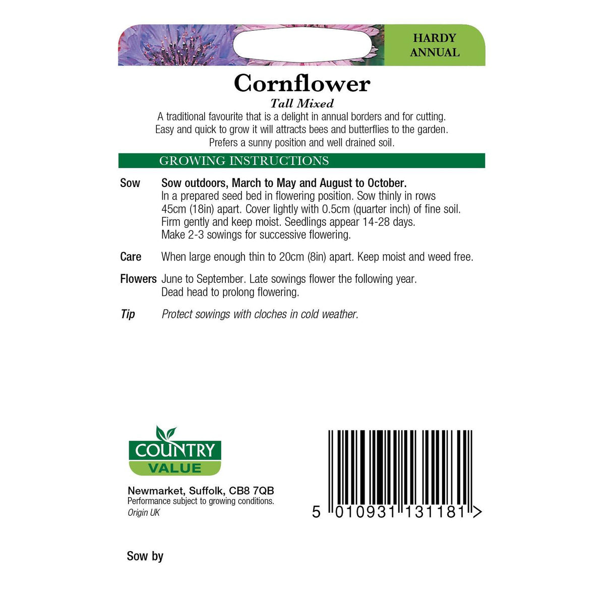 Cornflower Tall Mixed Cv Seeds