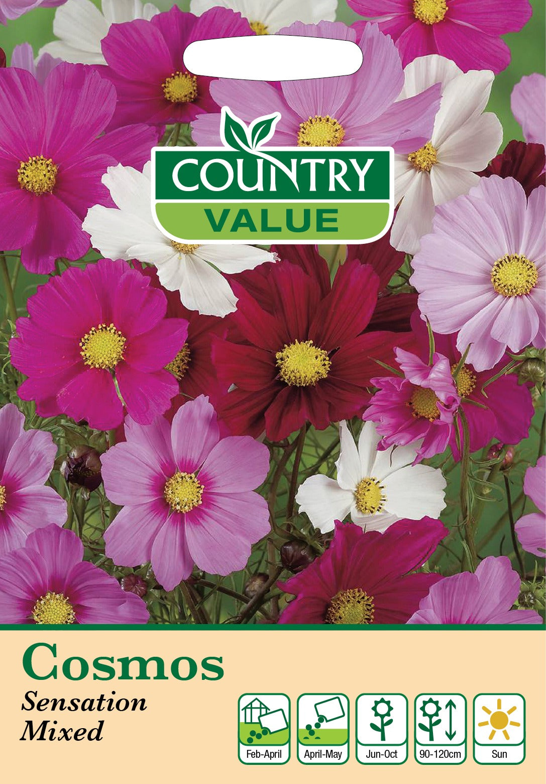 Cosmos Sensation Mixed Cv Seeds