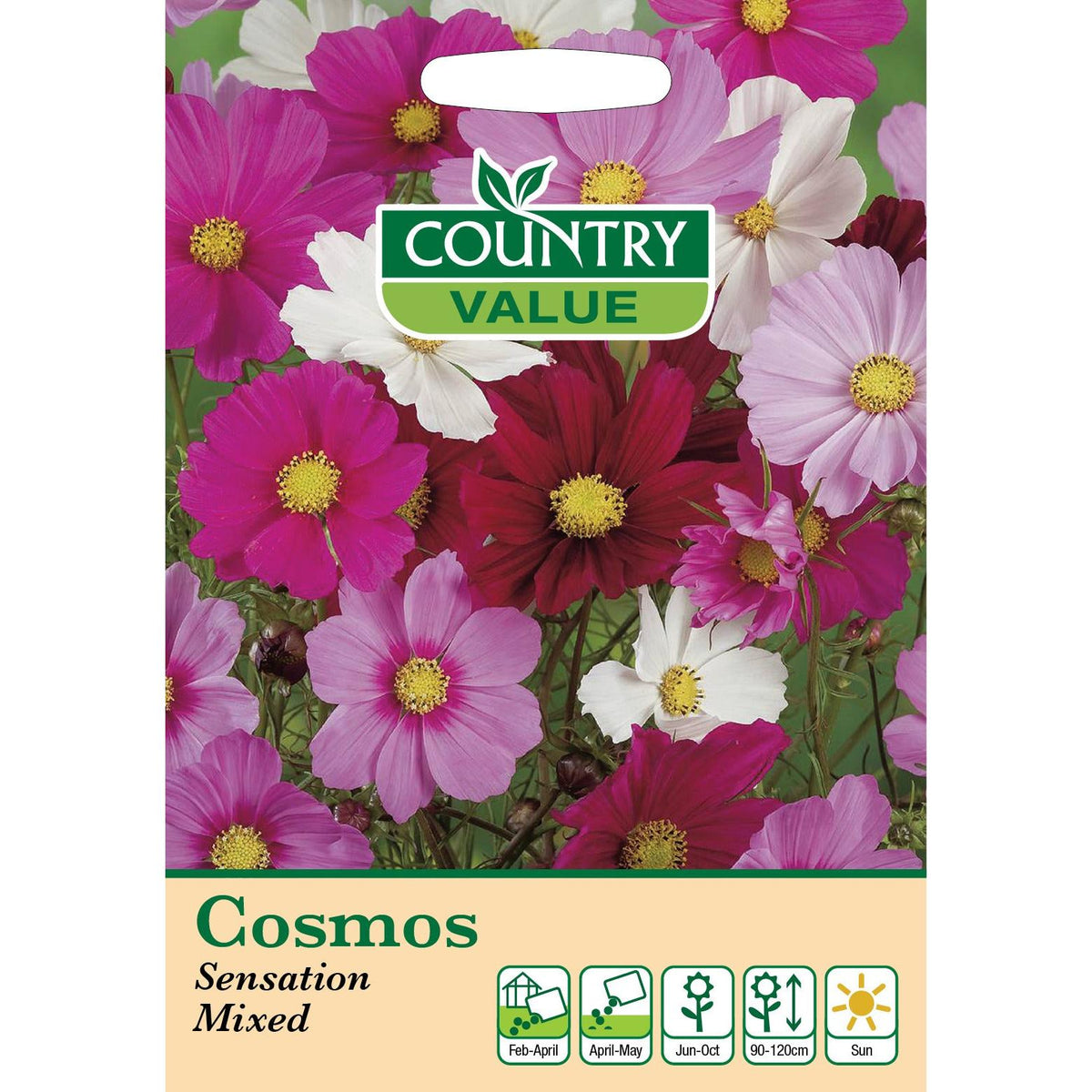 Cosmos Sensation Mixed Cv Seeds