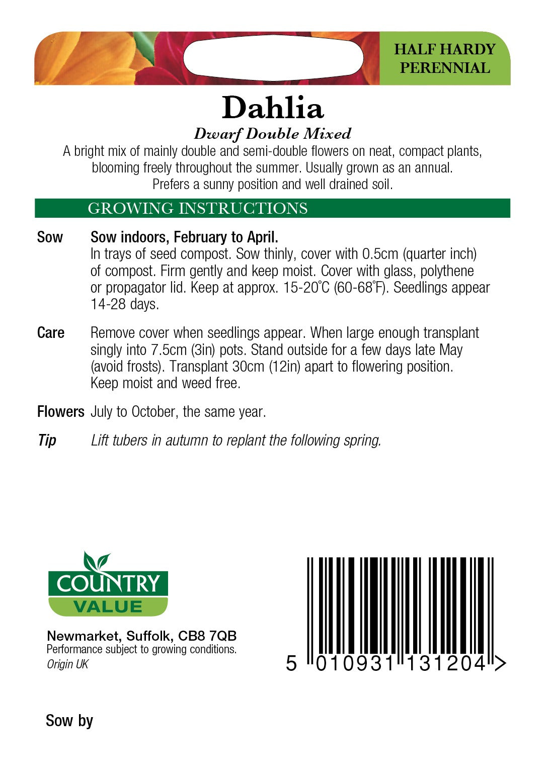 Dahlia Dwarf Double Mixed Cv Seeds