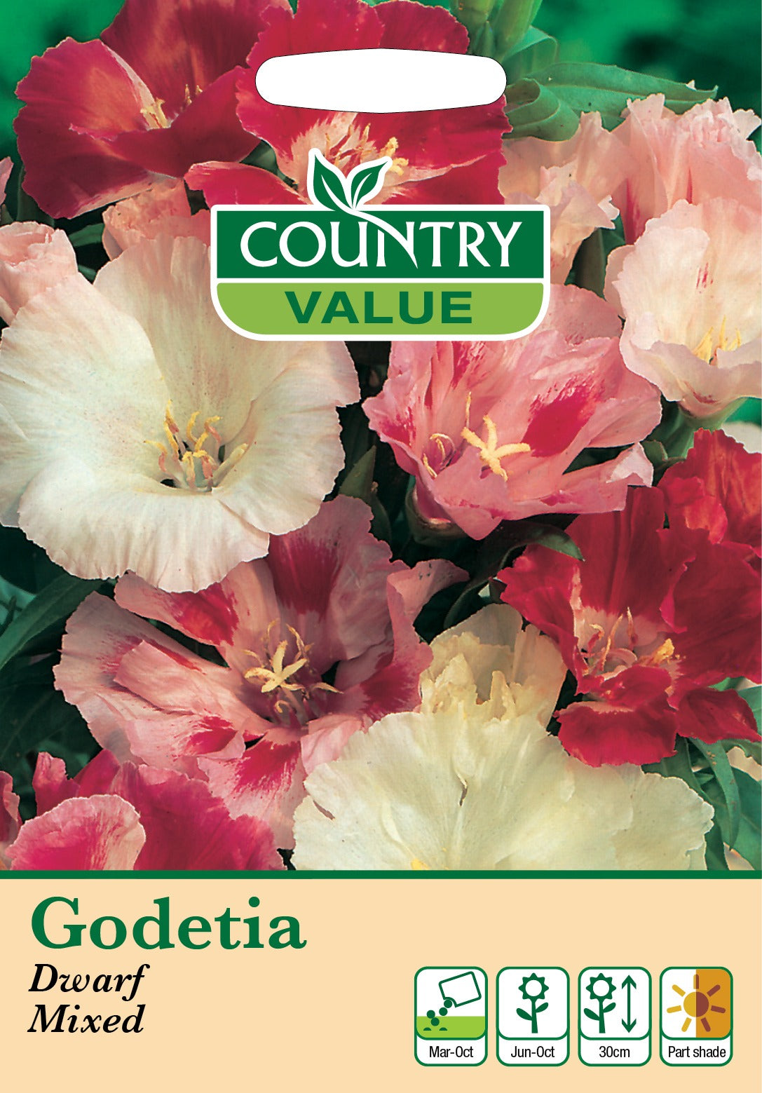 Godetia Dwarf Mixed Cv Seeds