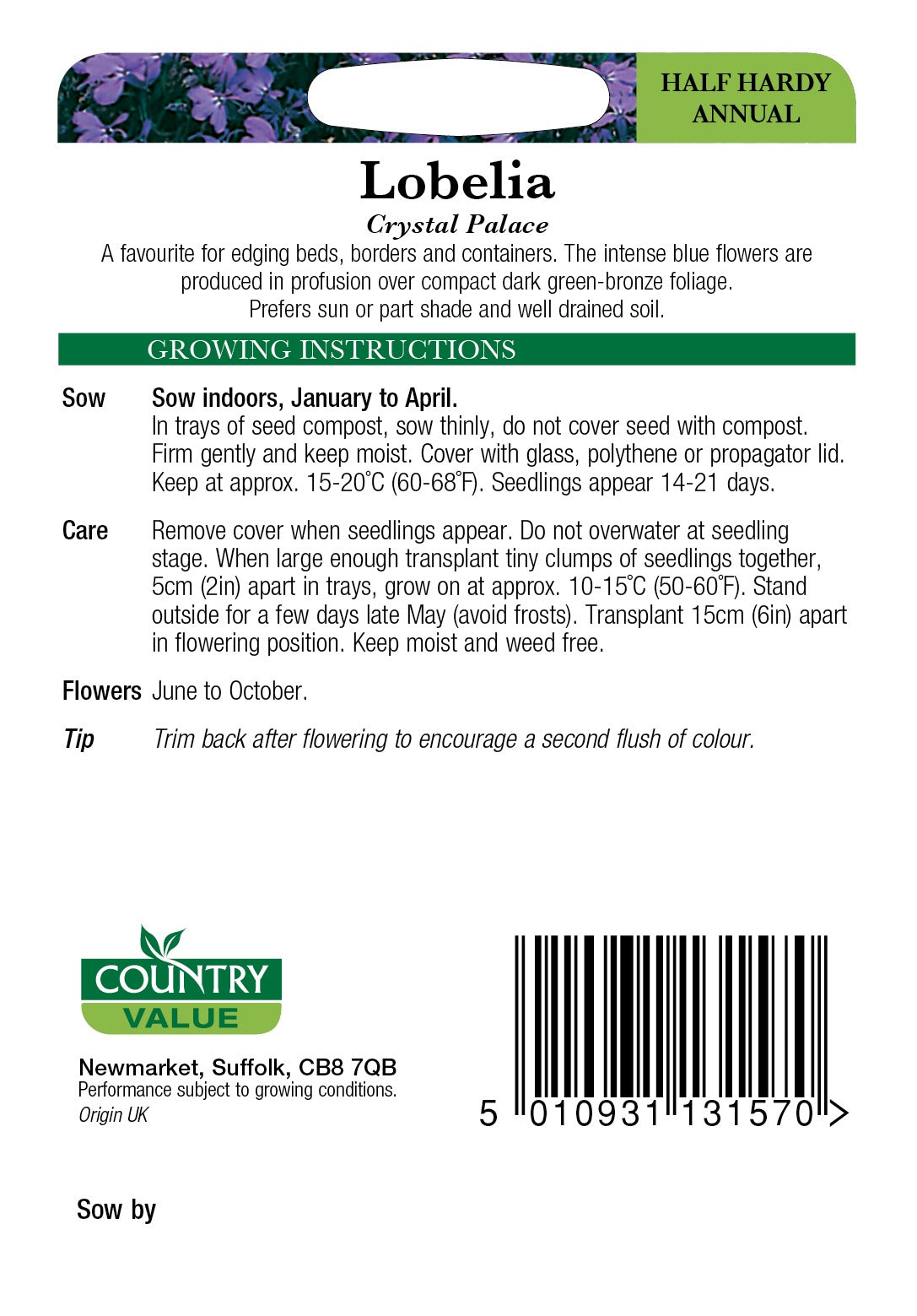 Lobelia Crystal Palace C V Seeds