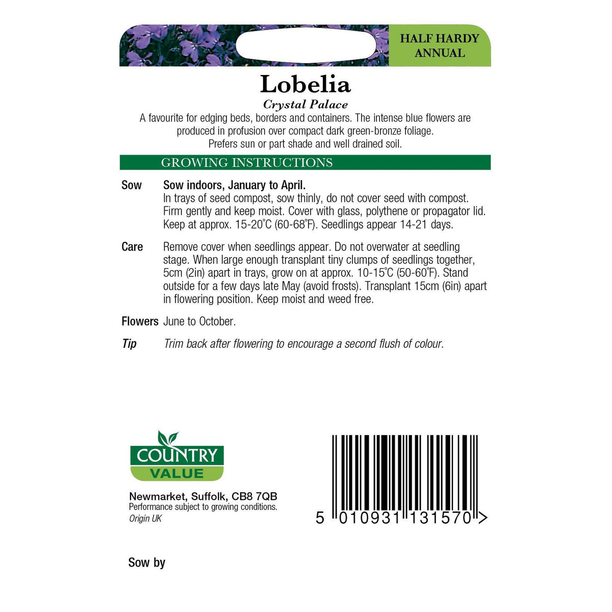 Lobelia Crystal Palace C V Seeds