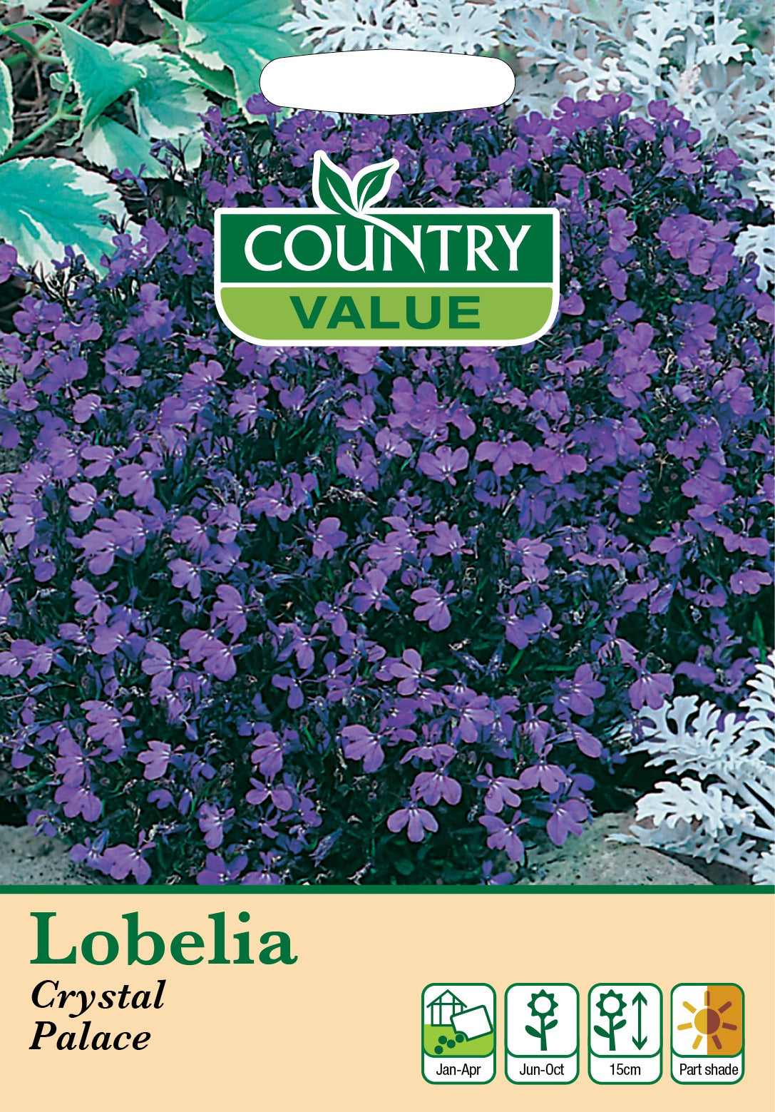 Lobelia Crystal Palace C V Seeds