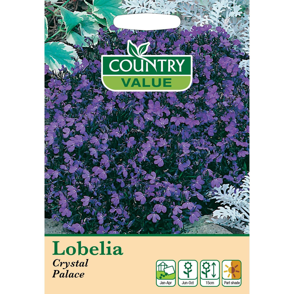 Lobelia Crystal Palace C V Seeds