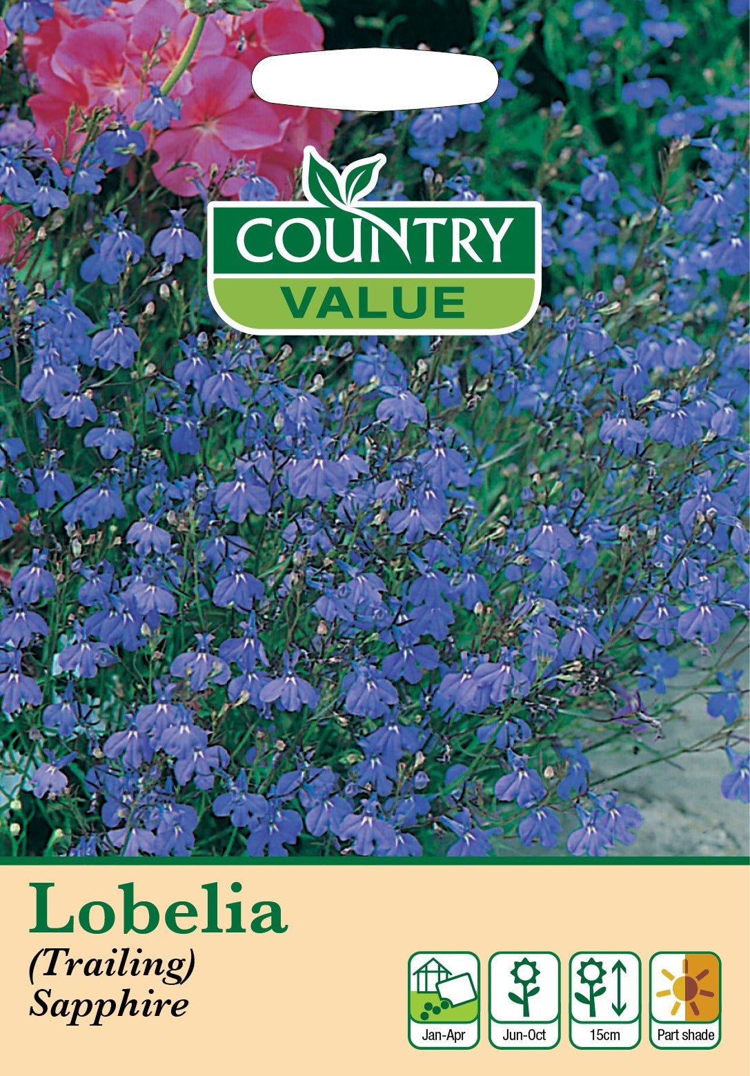Lobelia Trailing Sapphire C V Seeds